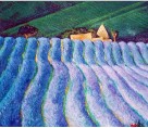 Campo di lavanda