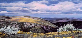 In collina